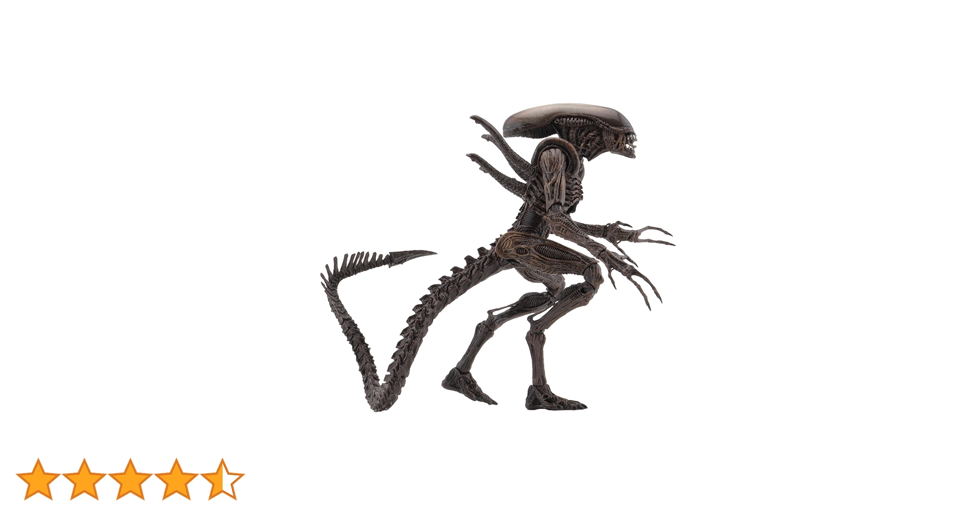 71MicX1cUNL.jpg_BO30,255,255,